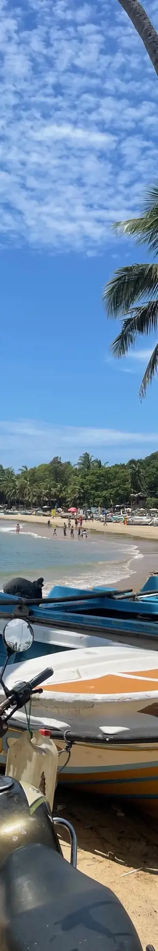 Vom Sonnenbaden aufs Surfbrett